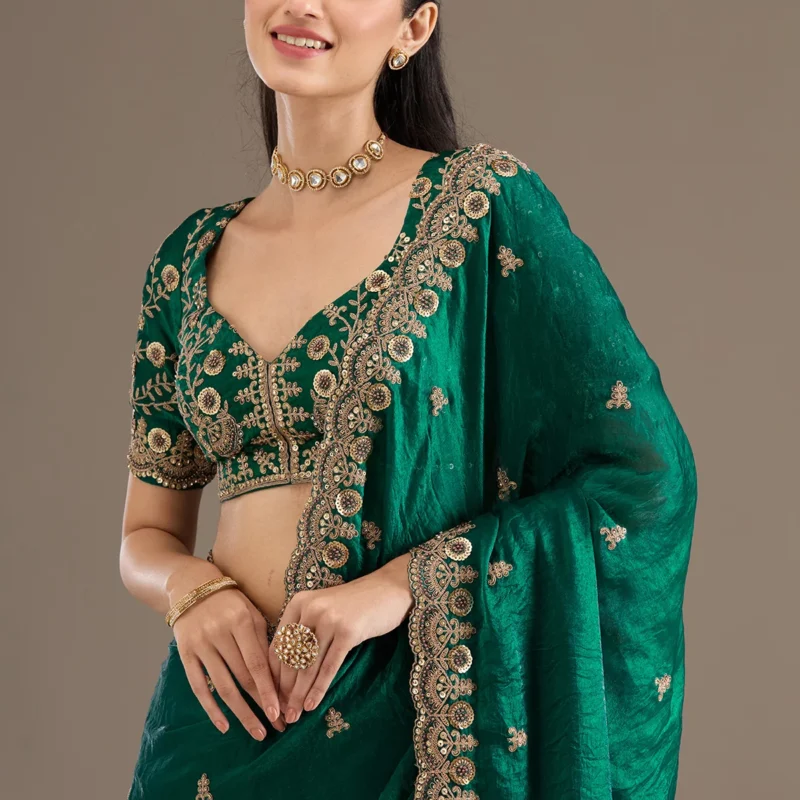 One Tissue Saree